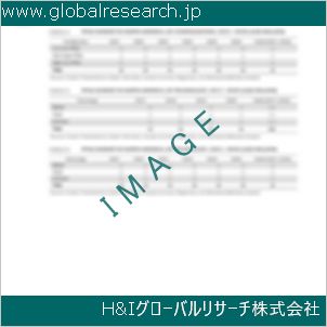 グローバルリサーチ調査資料のイメージ